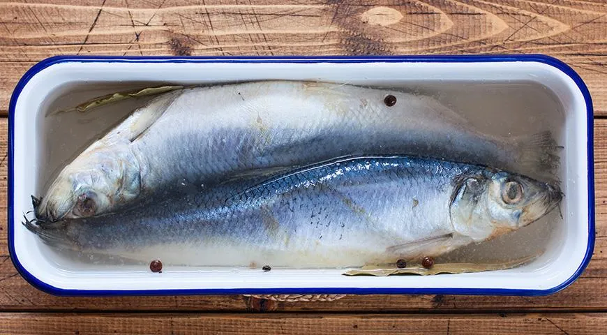 Вспоминаем ту самую советскую селёдку? Вот как её готовили! - свежие новости на Toplenta по теме да