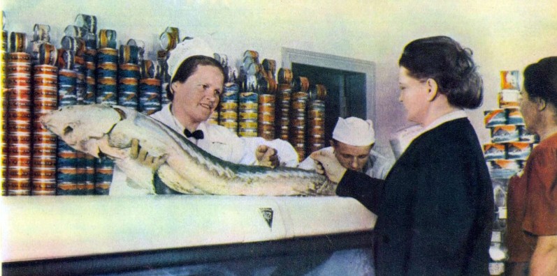 Сколько в СССР стоила самая дешевая и самая дорогая рыба? - свежие новости на Toplenta по теме рыбалка