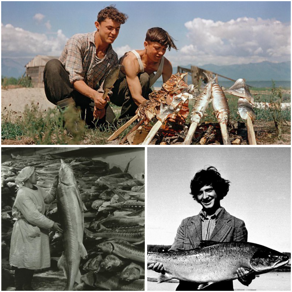 «Ловись рыбка большая...» Рыболовный бум в СССР. Четверг, рыбный день однако - свежие новости на Toplenta