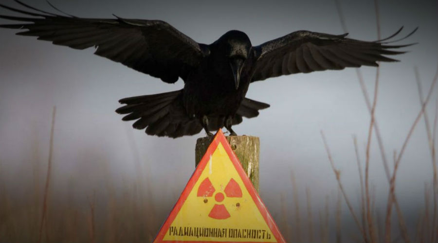 Кыштымская катастрофа: страшная тайна СССР - похожая новость на Toplenta