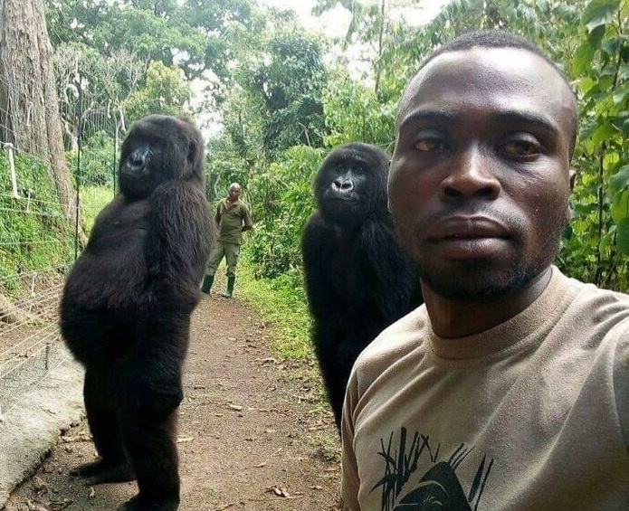 35 увлекательных снимков из Reddit-сообщества «Interesting As Fuck» - свежие новости на Toplenta по теме Интерес