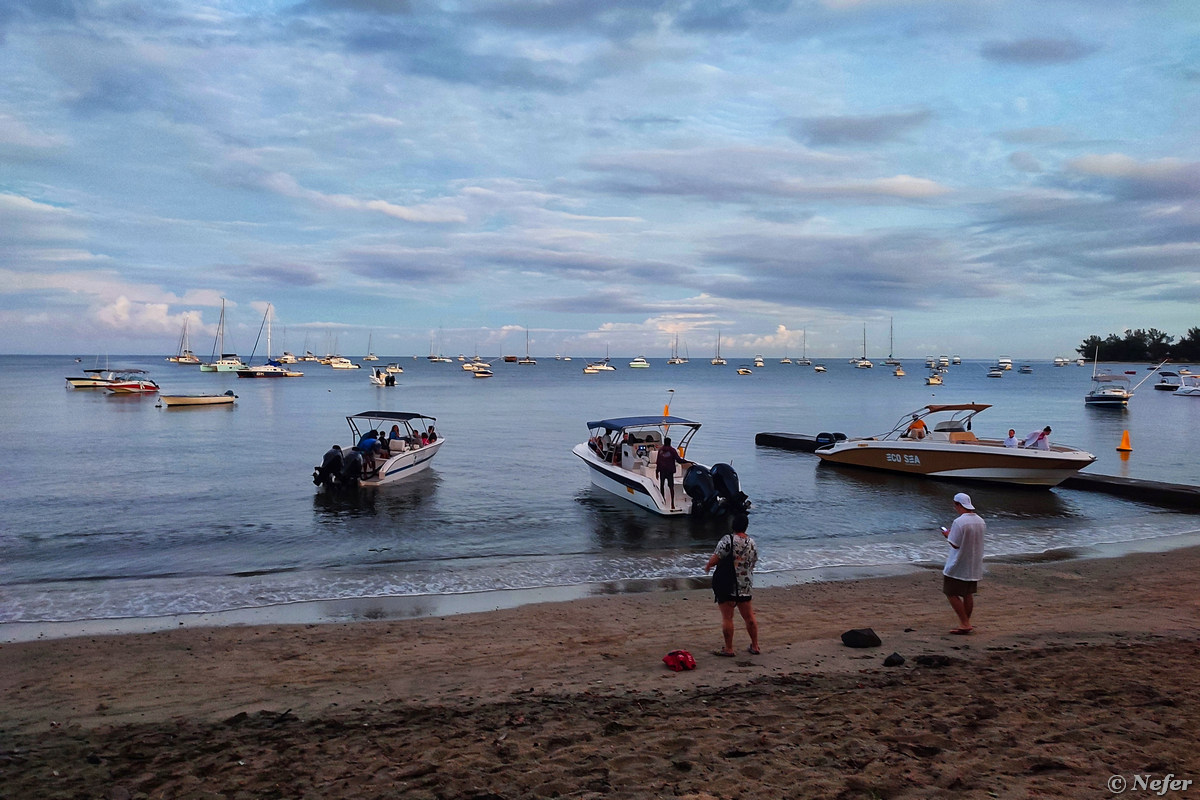 Плавание с кашалотами - главное приключение на острове Маврикий - свежие новости на Toplenta