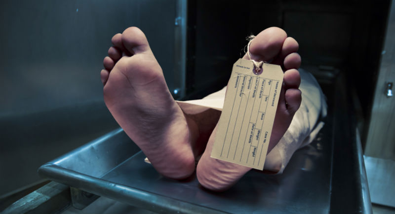 От судьбы не уйдешь: 15 самых распространенных причин смерти людей - свежие новости на Toplenta по теме здоровье и медицина