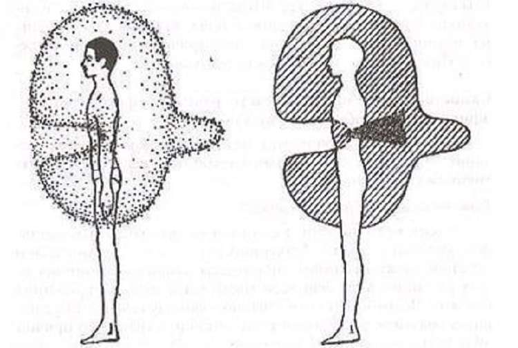 Как ОБИДА формирует заболевание - свежие новости на Toplenta по теме Психологи
