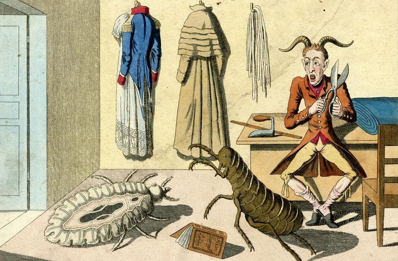 Гигиена при Екатерине II: борьба с паразитами, горшки и прочие «неудобства» - свежие новости на Toplenta по теме Российская