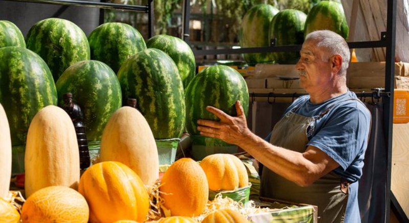 Что полезнее — арбуз или дыня - свежие новости на Toplenta по теме Витамины
