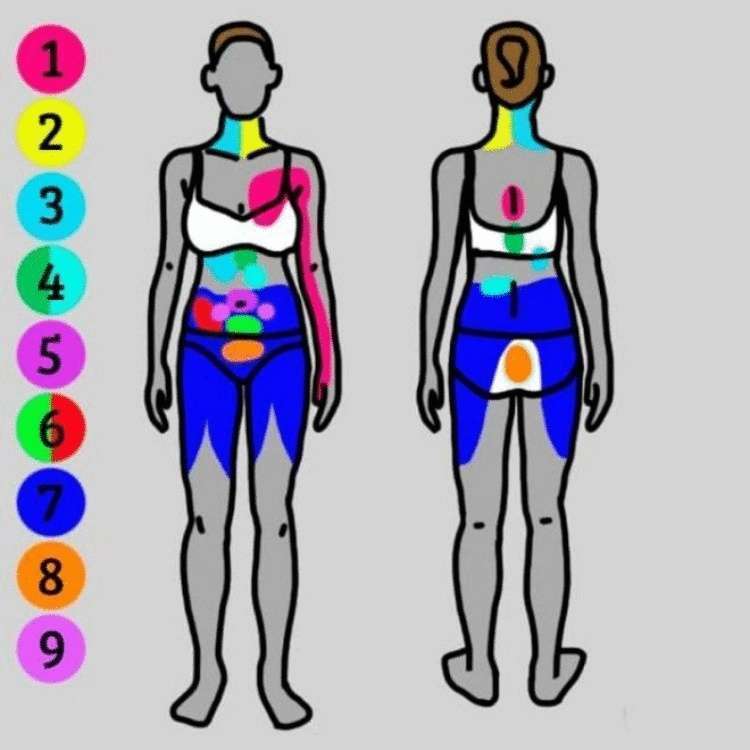 Как понять, что на самом деле у вас болит - свежие новости на Toplenta по теме Медицина и Здоровье  /  Соцпортал
