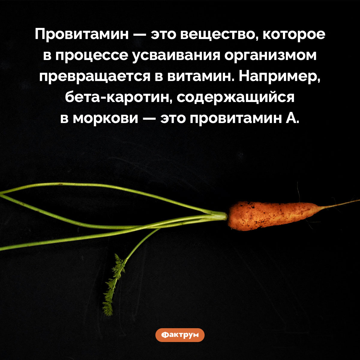 Что такое «провитамины» - свежие новости на Toplenta по теме Факты в картинках