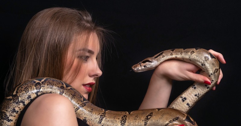 Безумие и отвага: 3 факта о редкой болезни Урбаха-Витте, лишающей человека страха - свежие новости на Toplenta по теме Безопасность