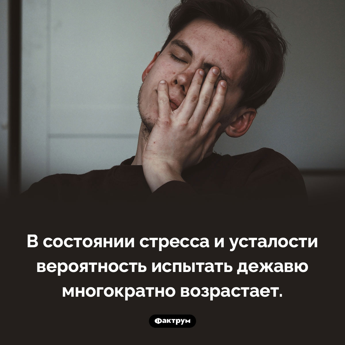 Дежавю и стресс - свежие новости на Toplenta по теме Психологи