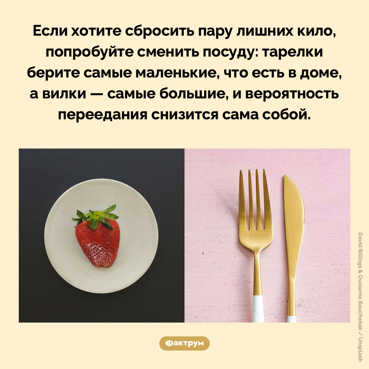 Пользуясь большими вилками, люди съедают меньше - свежие новости на Toplenta по теме Психологи