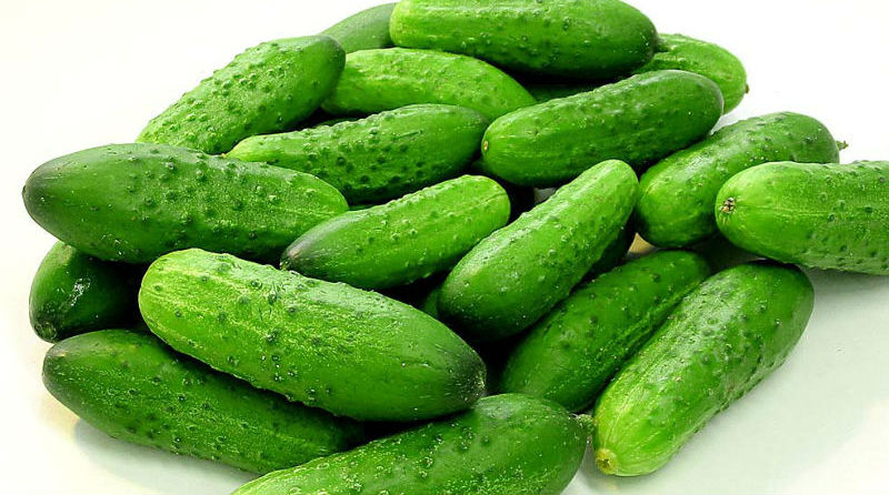 Топ-20 продуктов, сжигающих жиры и регулирующих обмен веществ - похожая новость на Toplenta