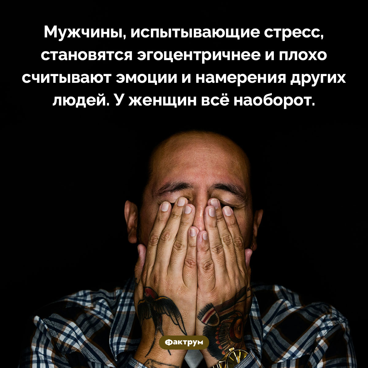 Мужчины, испытывающие стресс, более эгоцентричны - свежие новости на Toplenta по теме Факты в картинках