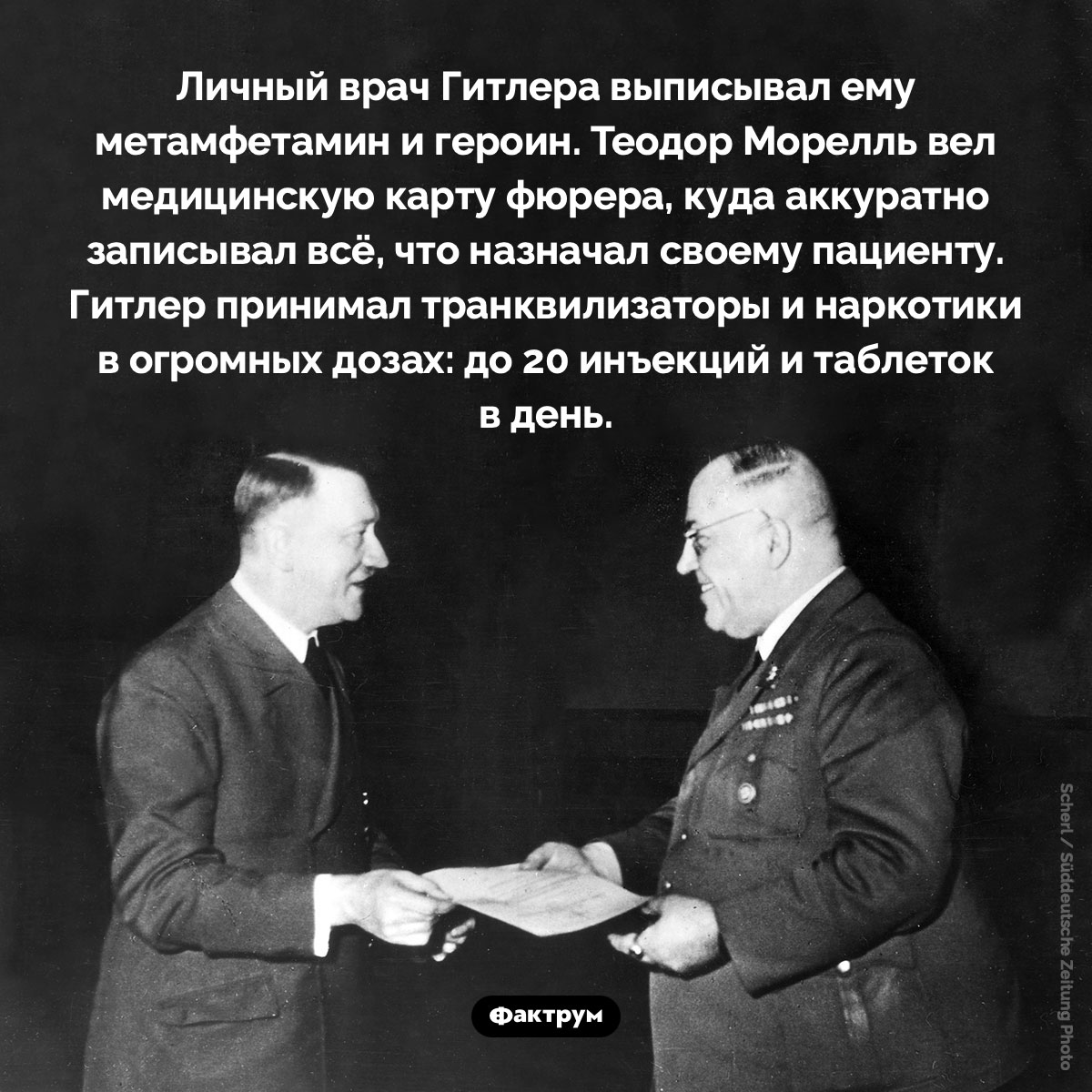 Личный врач Гитлера - свежие новости на Toplenta по теме Известны