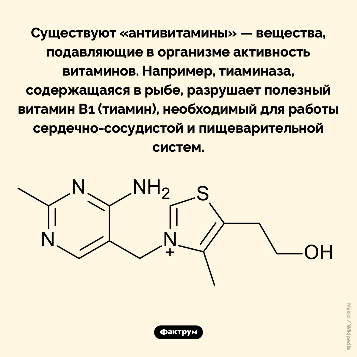 Антивитамины - свежие новости на Toplenta