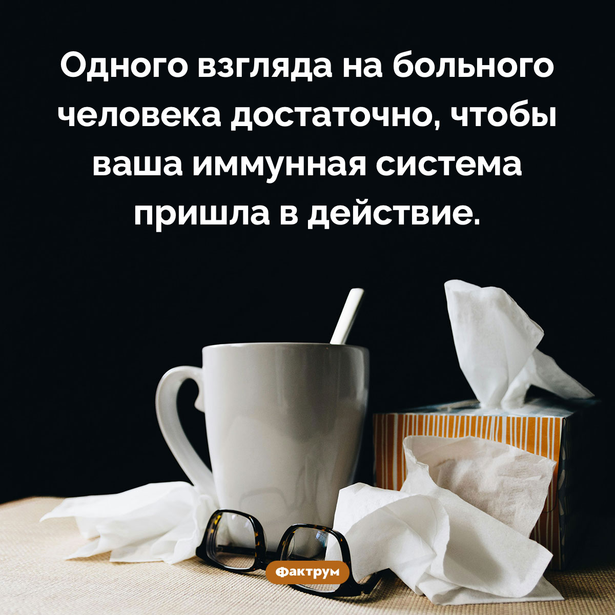 Психологическая иммунная система - свежие новости на Toplenta по теме Чел