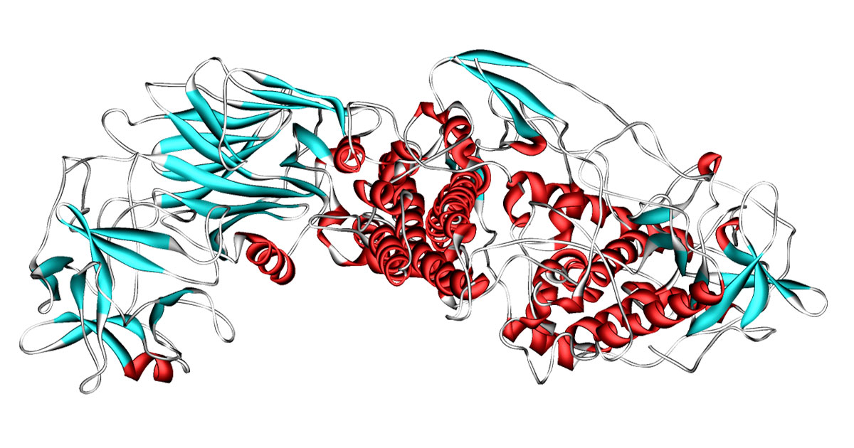 Как работает ботокс - актуальные новости по теме Здоровье на Toplenta