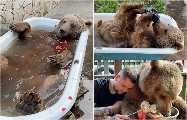 Познакомьтесь с Балу из Саратова, который обожает плескаться в ванне - свежие новости на Toplenta