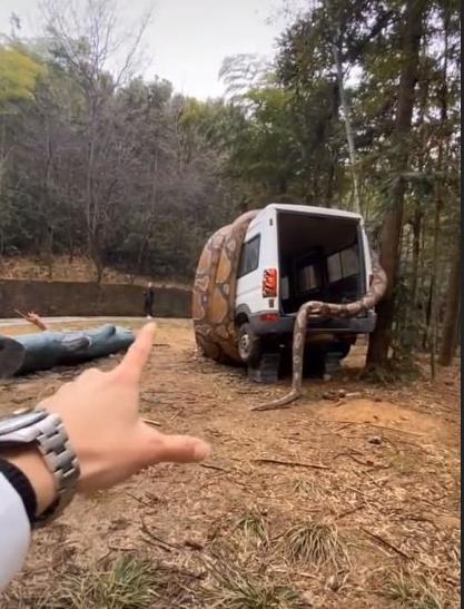 Змея невероятных размеров ошарашила посетителей парка - свежие новости на Toplenta