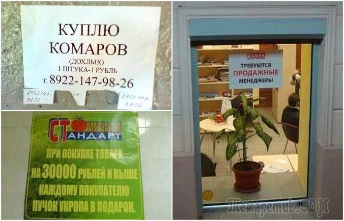 17 эпичных объявлений, авторам которых хочется аплодировать стоя - свежие новости на Toplenta по теме Труп