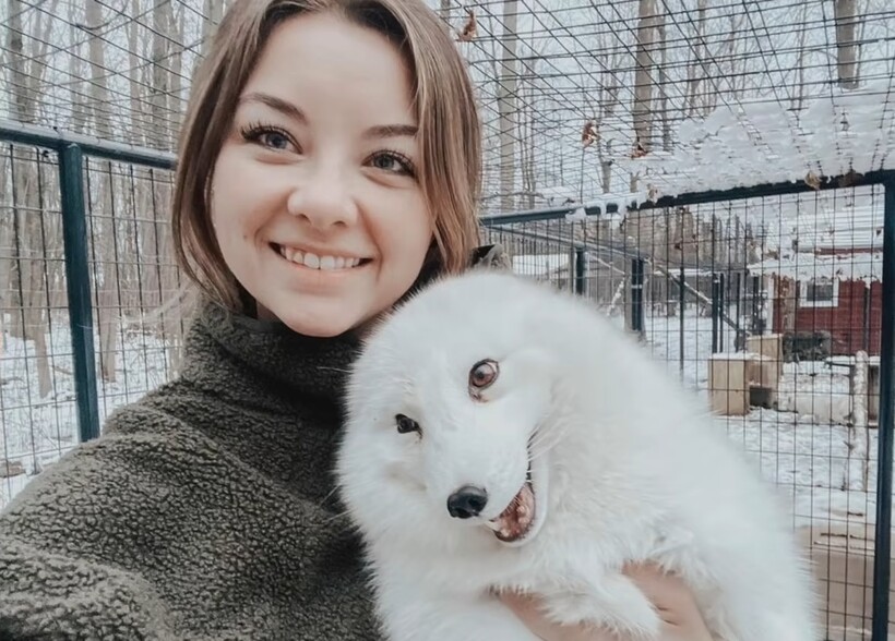 Добрая девушка спасла лис, которые были живыми экспонатами - свежие новости на Toplenta