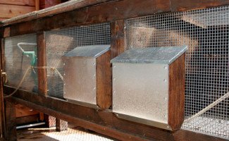 Кормушки для кроликов своими руками - свежие новости на Toplenta по теме Содержание и выращивание животных