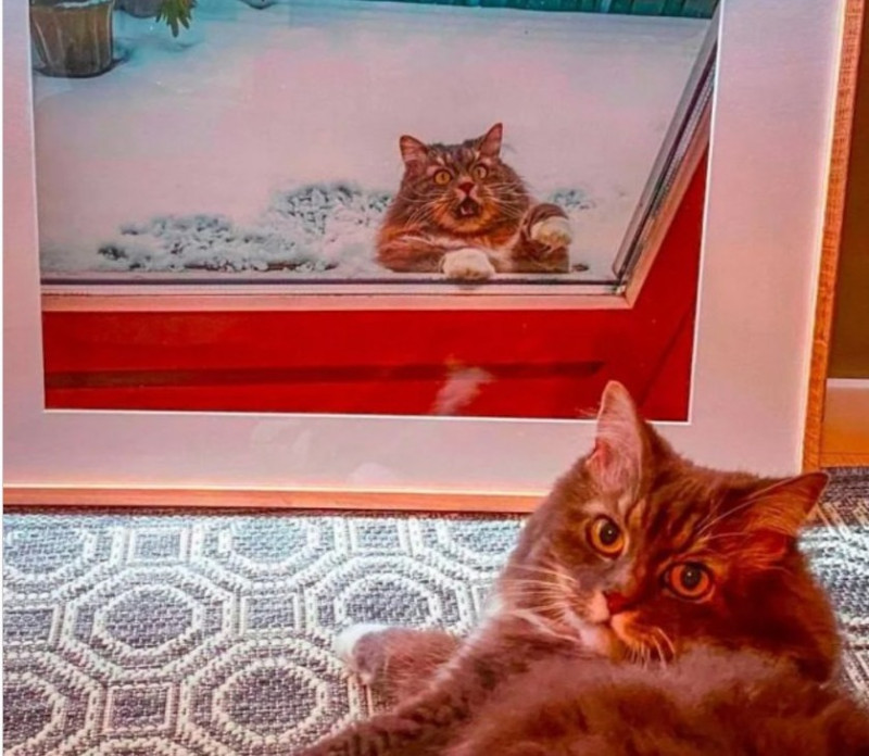 Как напоминание пережитого ужаса... - свежие новости на Toplenta