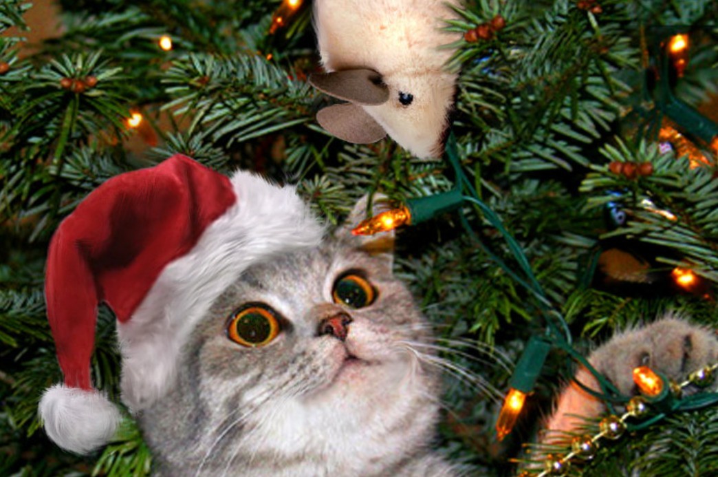 Каждый год я роняю ёлку...Такая традиция - свежие новости на Toplenta