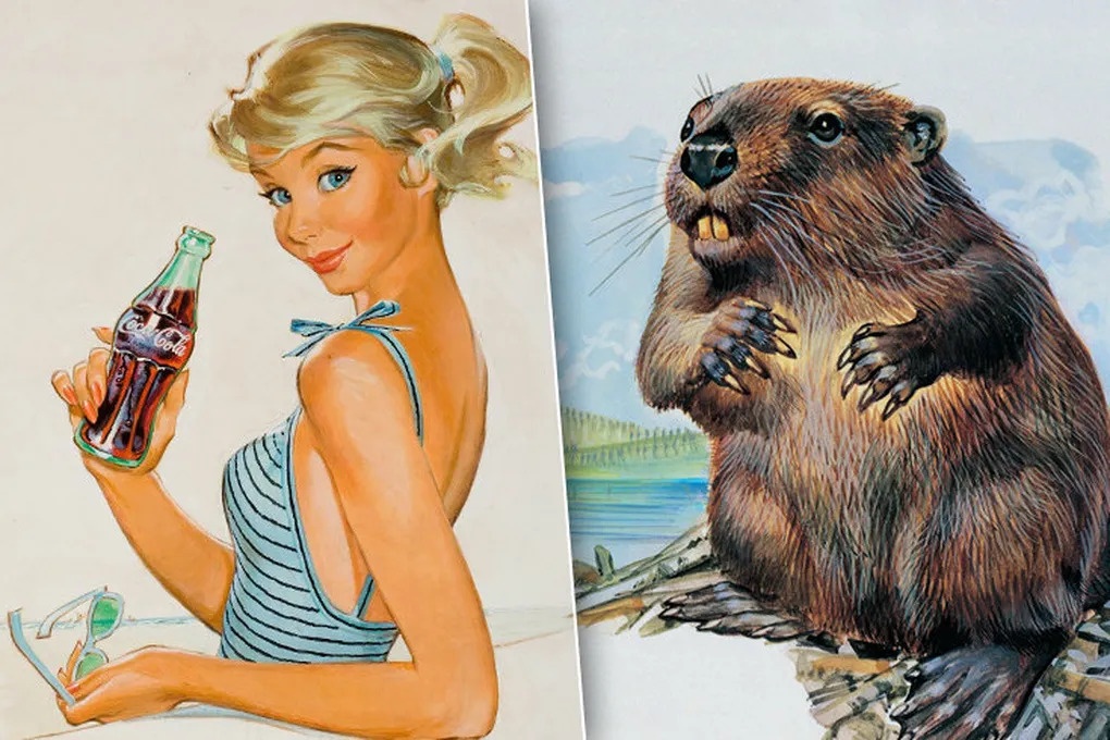 От колы до яичек бобра: 9 самых странных методов контрацепции из прошлого - свежие новости на Toplenta