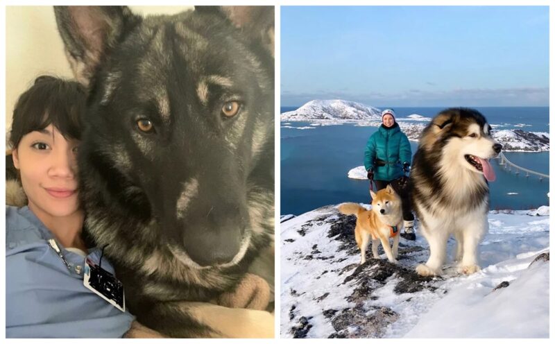 22 больших собаки, которые требуют большой любви - свежие новости на Toplenta по теме Домашние