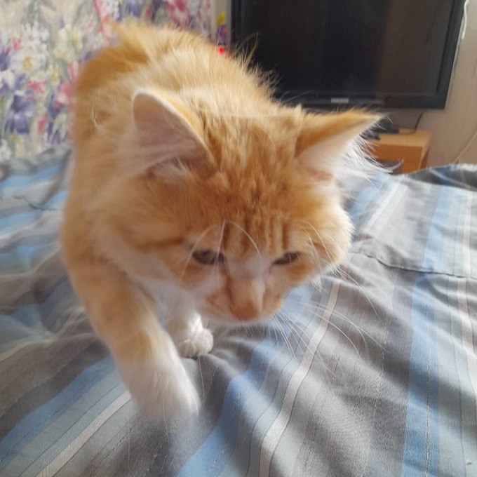 Хорошо, когда у каждого своя небольшая, но собственная коробочка - свежие новости на Toplenta по теме Среда