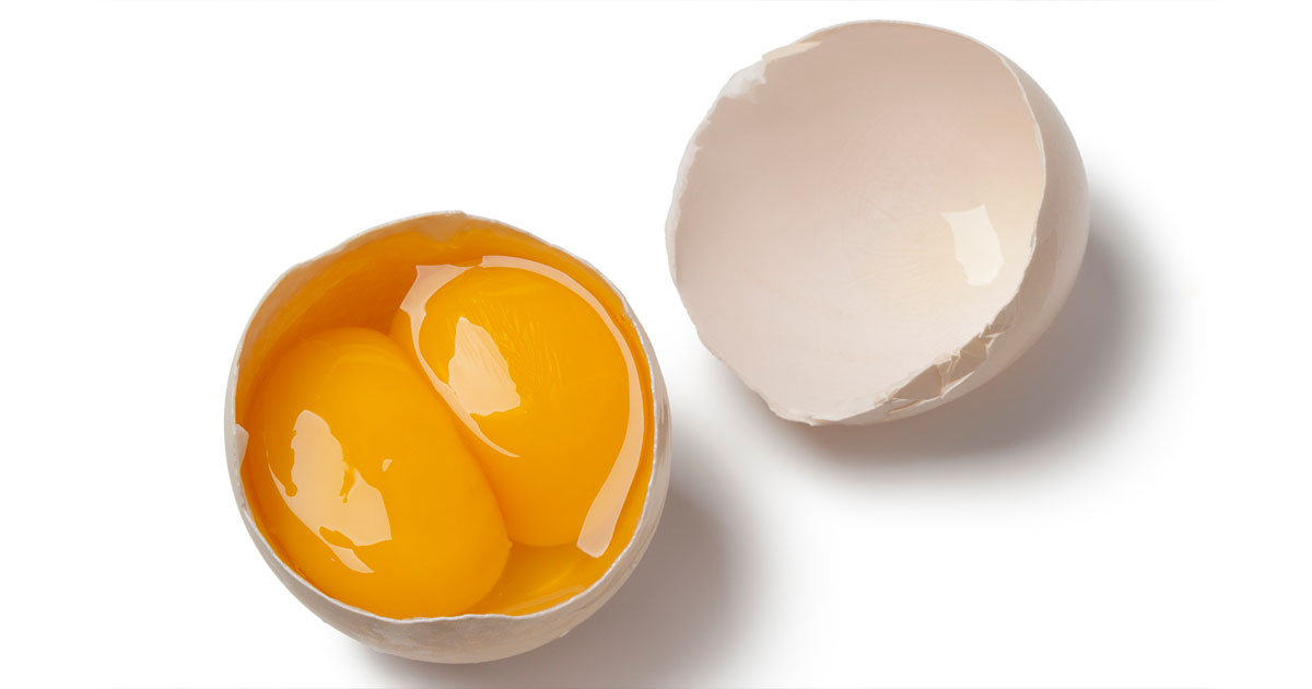 Яйца с двойным желтком несут молодые куры - свежие новости на Toplenta по теме Факт