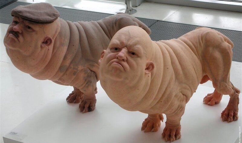 С какими животными можно скрестить человека - свежие новости на Toplenta по теме МИР