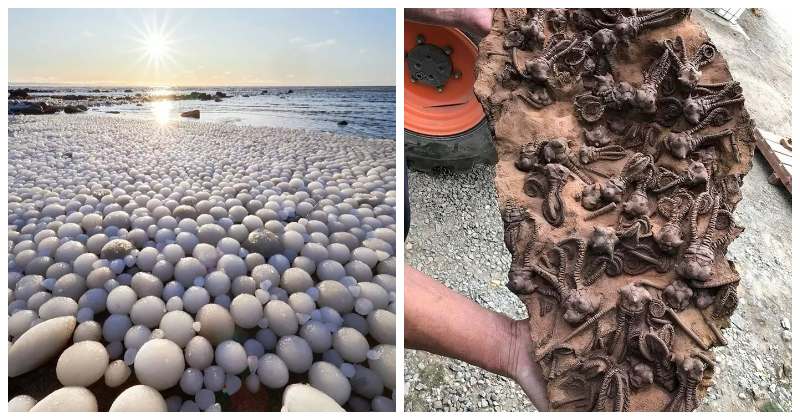 33 редкие и удивительные штуки, которые стоит увидеть хотя бы на фото - свежие новости на Toplenta