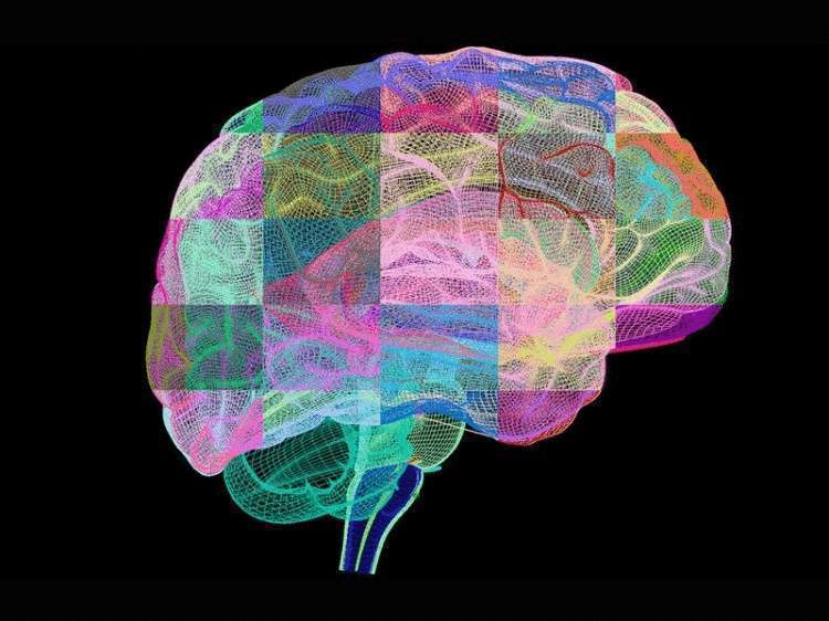 Комплекс кинезиологических упражнений, которые объединяют тело и ум - свежие новости на Toplenta по теме Психологи