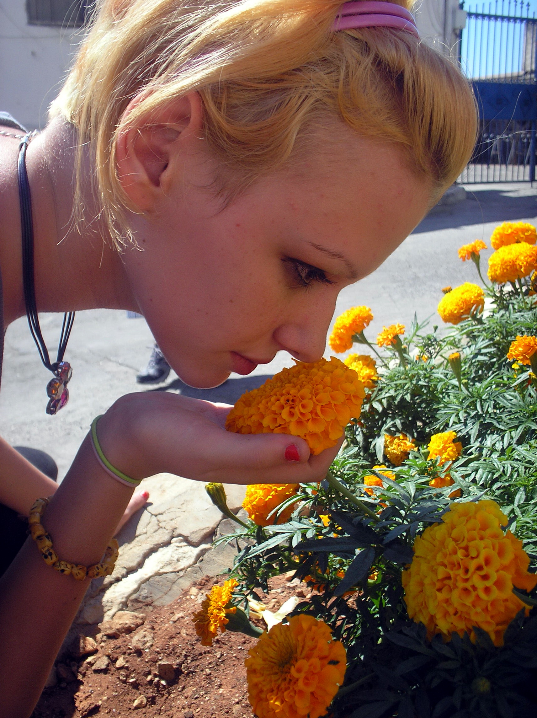 Листая старые страницы - свежие новости на Toplenta по теме анекдоты