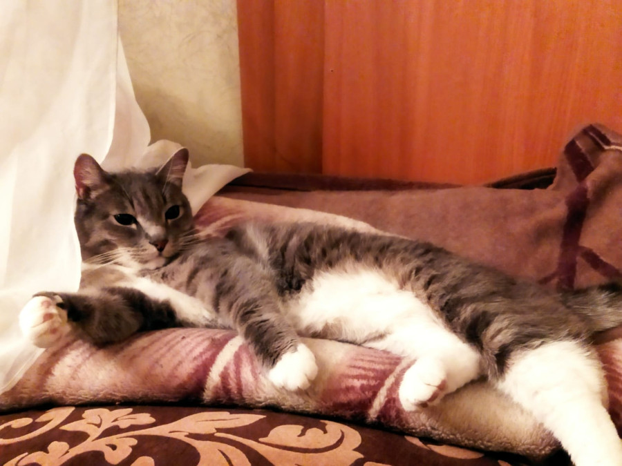 Тёма в ожидании потепления в Красноярске - свежие новости на Toplenta по теме Среда