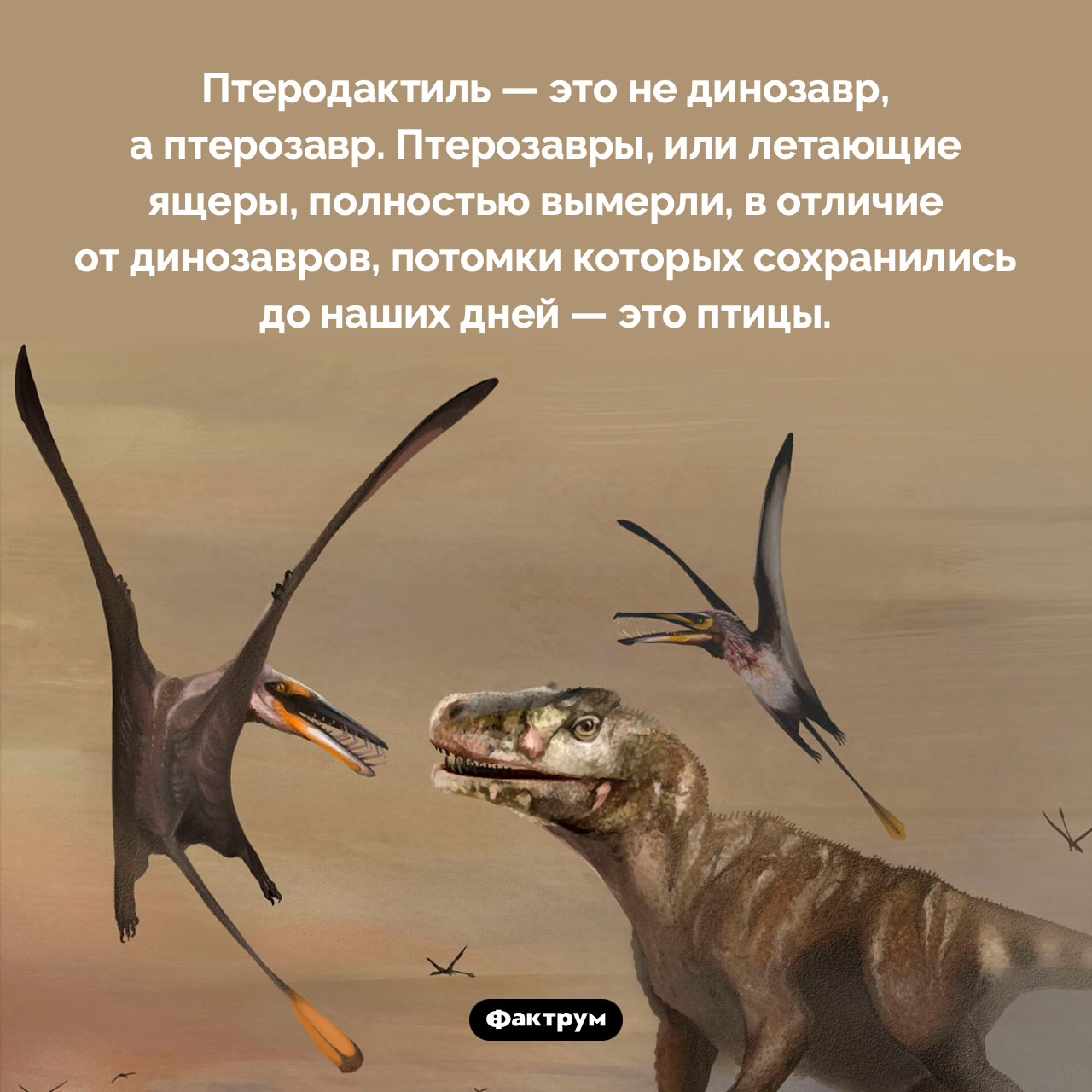 Птеродактиль — это не динозавр - свежие новости на Toplenta по теме Наук