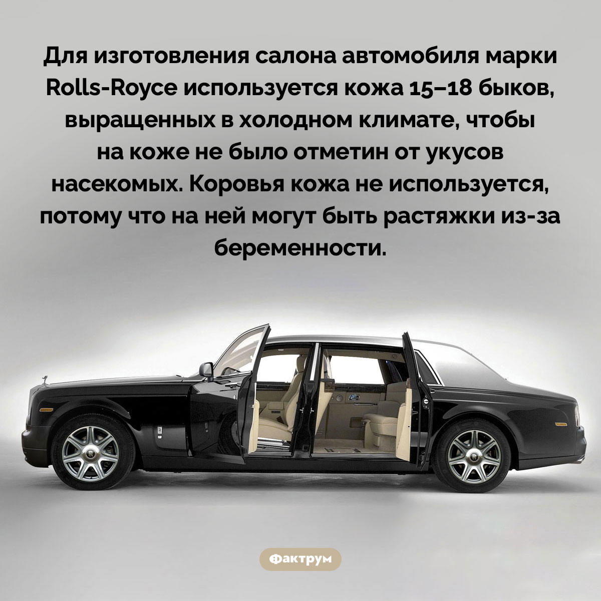 Для изготовления салона Rolls-Royce используется кожа 15-18 быков - свежие новости на Toplenta по теме Омо