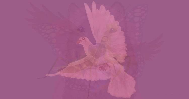 Какое животное вы увидели первым — такова и сущность вашей души! - свежие новости на Toplenta по теме Вдохновения