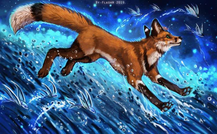 Сравнение зодиакальных знаков с хищными животными: версия для женщин - свежие новости на Toplenta по теме гороскоп