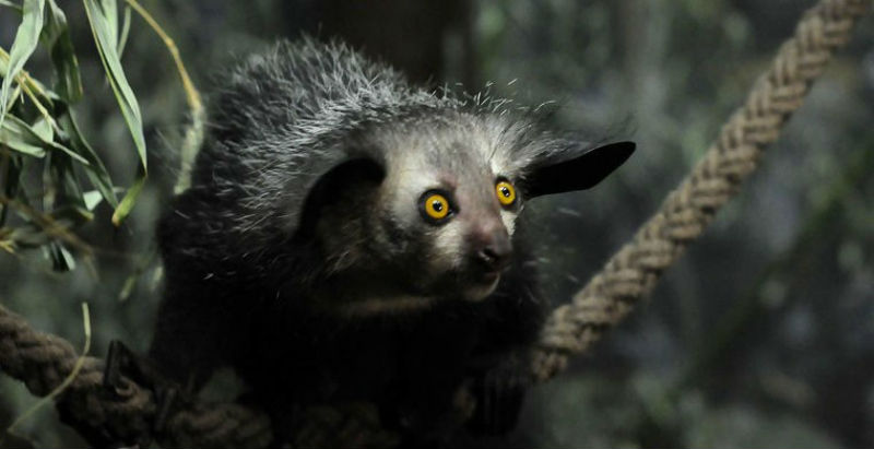 Как выглядит настоящее анти-ми-ми-ми - свежие новости на Toplenta по теме прогресс