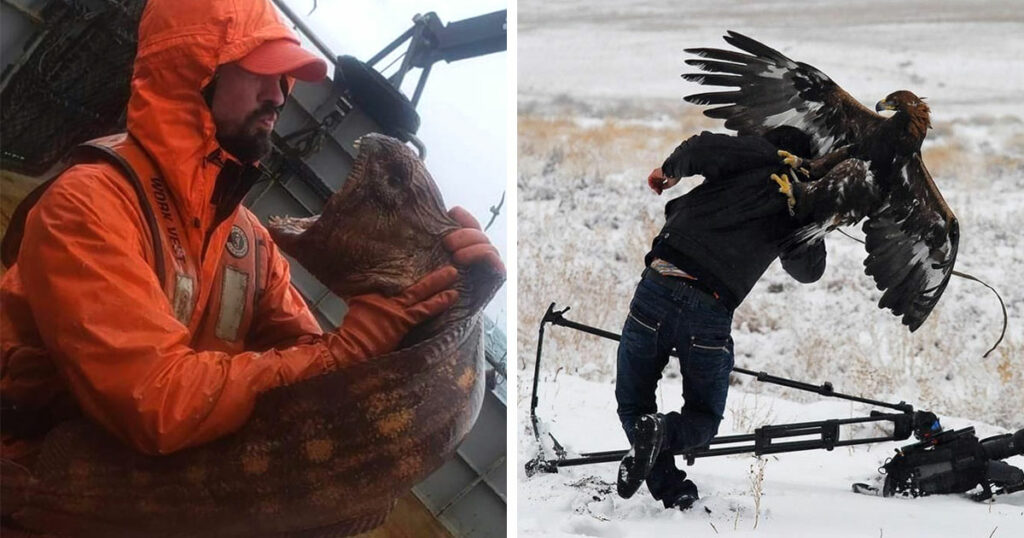 С природой шутки плохи! 22 фотографии, которые вас в этом убедят - свежие новости на Toplenta по теме По