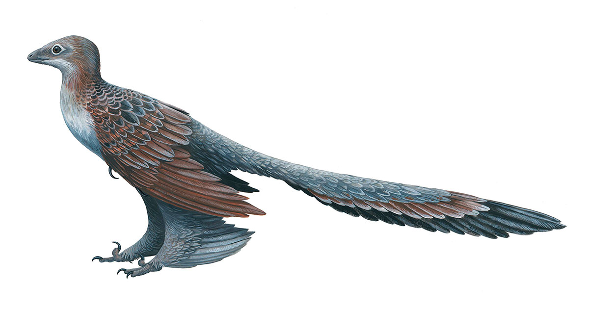 На Земле живёт вдвое больше видов динозавров, чем млекопитающих - свежие новости на Toplenta по теме Наук