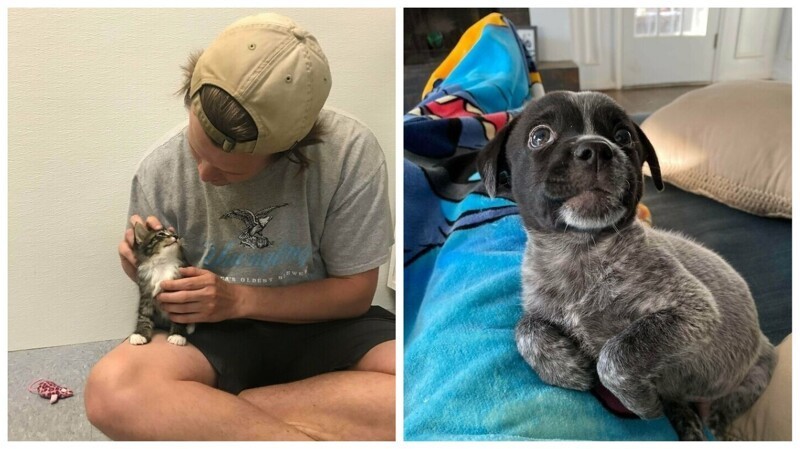 30 питомцев, которые недавно обрели новый дом и любящих хозяев - свежие новости на Toplenta по теме Домашние