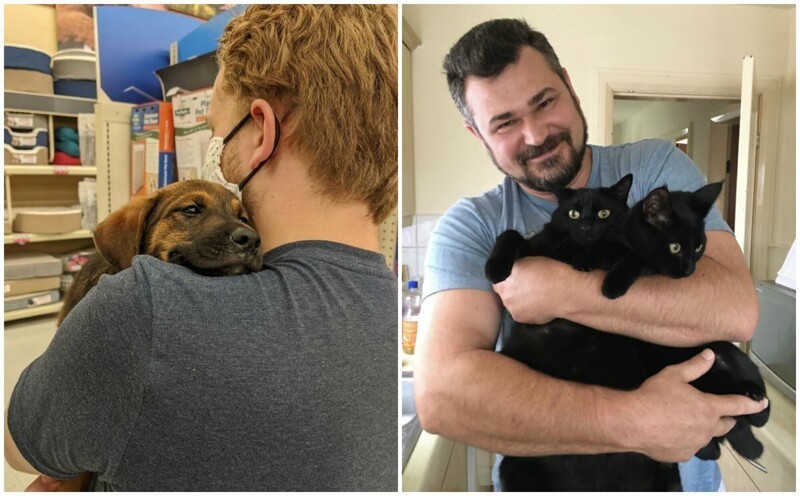 35 животных из приютов, которым очень повезло встретить «своего» человека - свежие новости на Toplenta по теме Чел