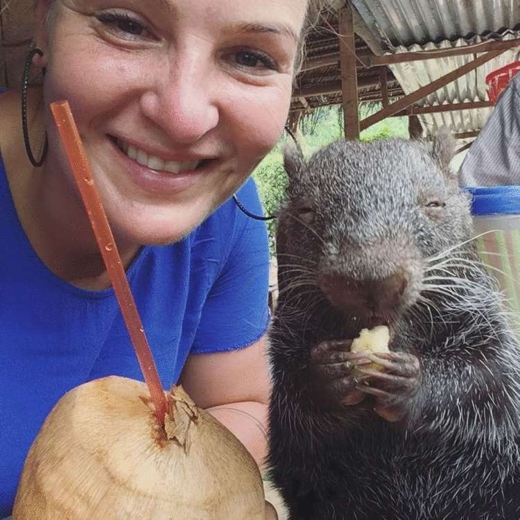 Самая большая и обаятельная мышь на свете — пакарана - свежие новости на Toplenta по теме животные