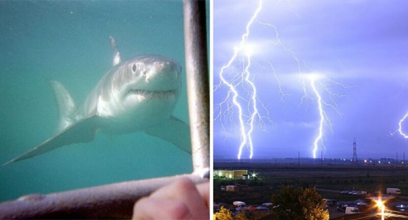 30 удивительных фактов, которые взорвут ваш мозг - свежие новости на Toplenta по теме По