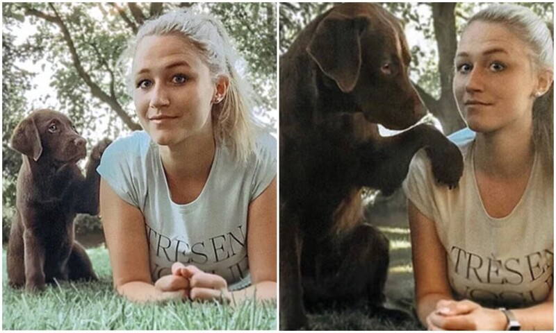 Как быстро они растут: 30 фото с собаками в стиле «тогда и сейчас» - свежие новости на Toplenta по теме под
