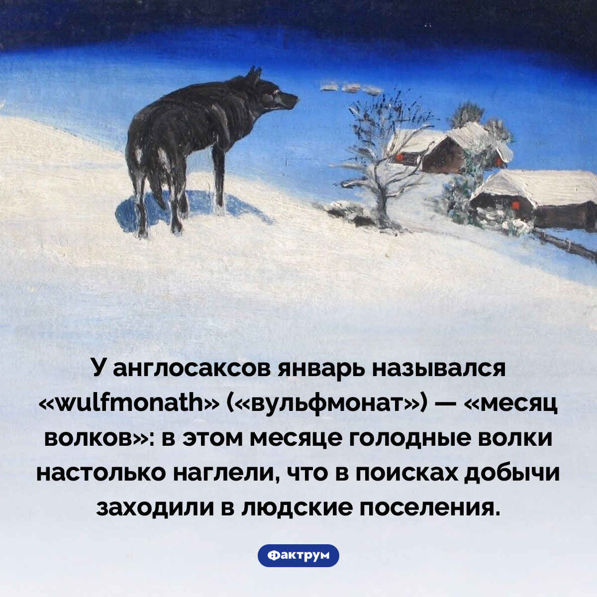 Месяц волков - свежие новости на Toplenta по теме Волки